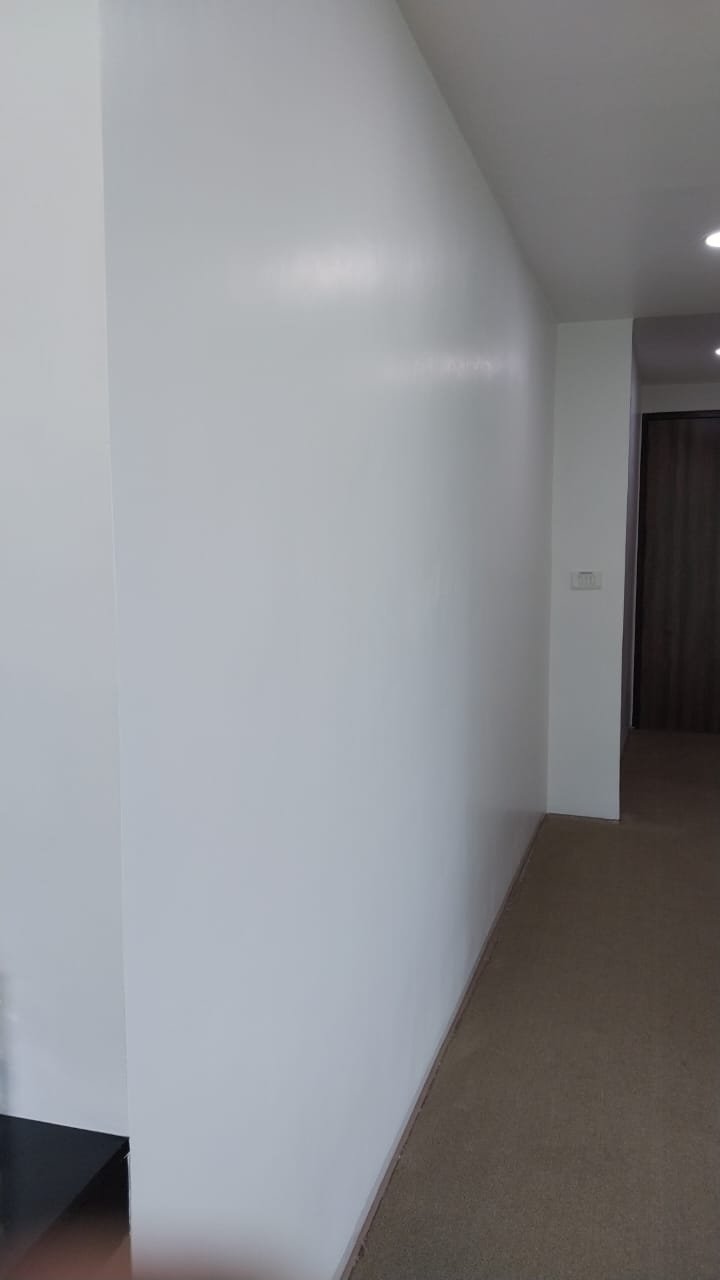 Interior Painting Work